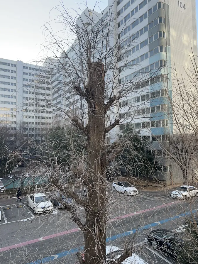 경사진 산지에 우거진 나무와 잡목을 정리하는 현장 7