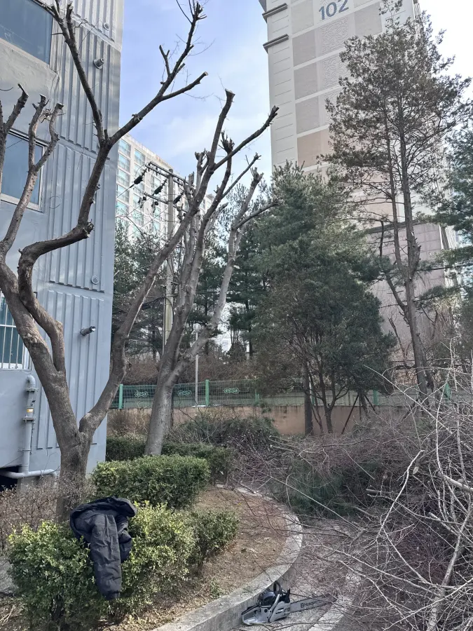 경사진 산지에 우거진 나무와 잡목을 정리하는 현장 12