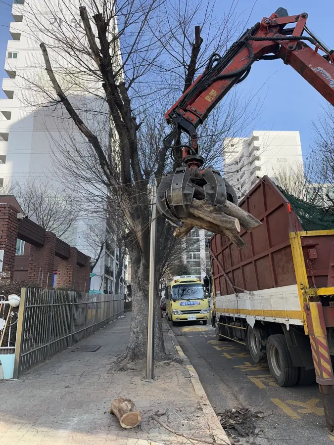 경사진 산지에 우거진 나무와 잡목을 정리하는 현장 5